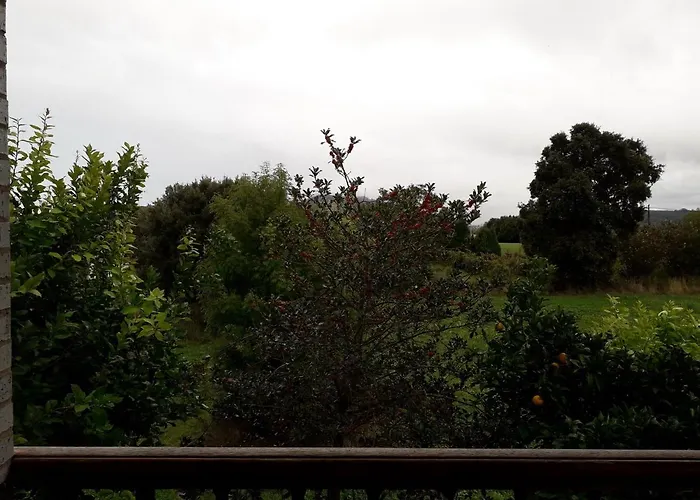 公寓 Frutales 阿内罗